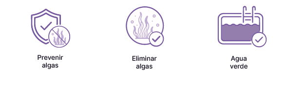 Instalación correcta de la carraca tensora