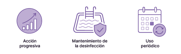 Instalación correcta de la carraca tensora